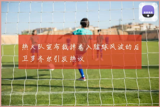 热火队宣布裁掉卷入赌球风波的后卫罗齐尔引发热议