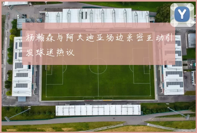 杨瀚森与阿夫迪亚场边亲密互动引发球迷热议